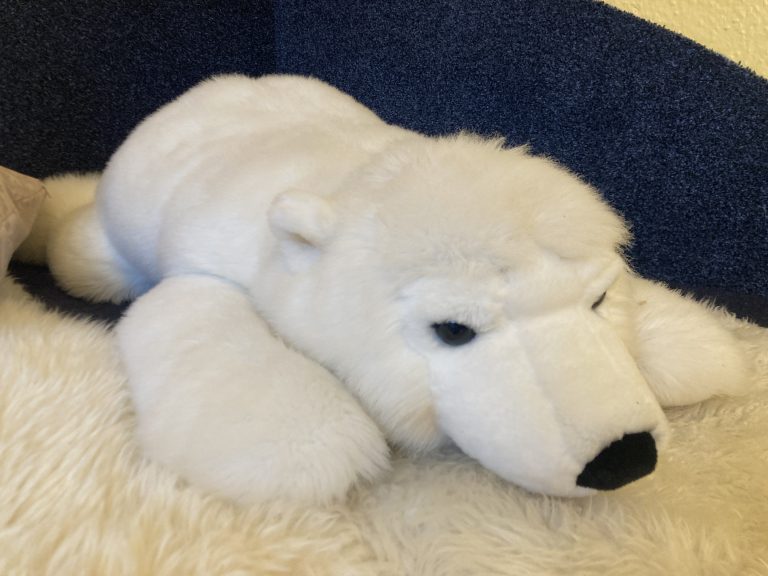 Eisbär 2